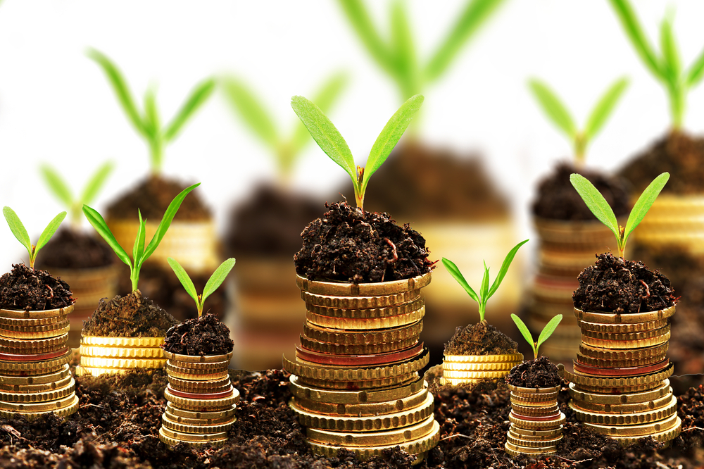 **Auswandern: Nichts Wie Raus** – So Finanzierst Du Dein Abenteuer! - 1bax577